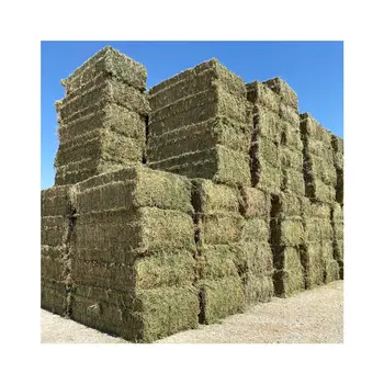 Hay For Animal Feed Alfalfa Pellets Alfalfa Hay Bays Fast Shipping ...