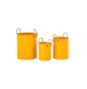 Mango yellow