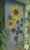 Color 7