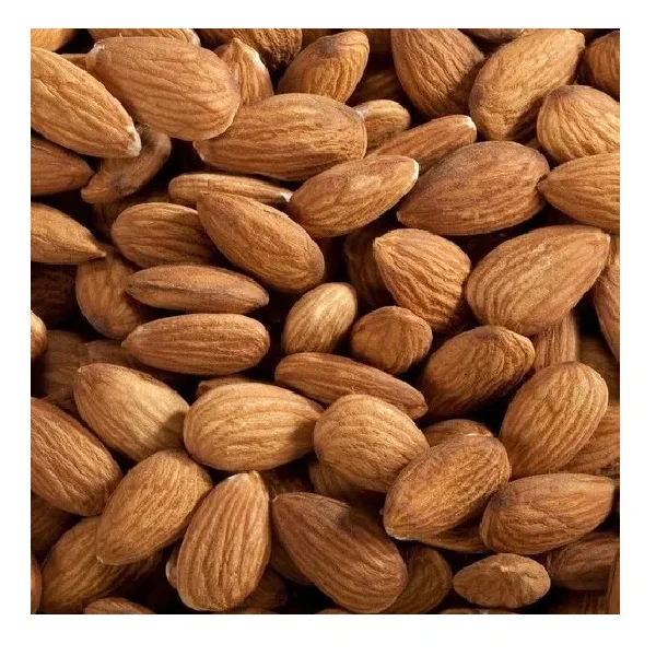 High Quality Dried Raw Almond Nuts for Food Use