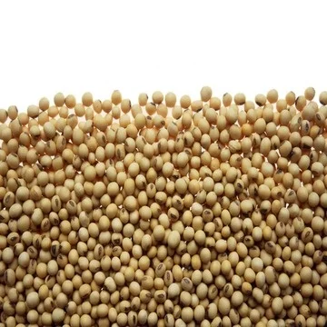 Non GMO высококачественное здоровое сушеное соевое зерно в объемных мешках органическое сыроедение хорошего качества