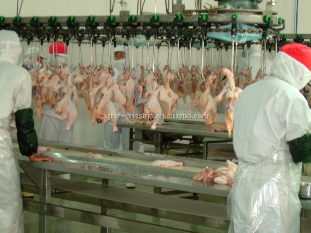Automatic poultry feather removal machine electric chicken feather machine for poultry processing