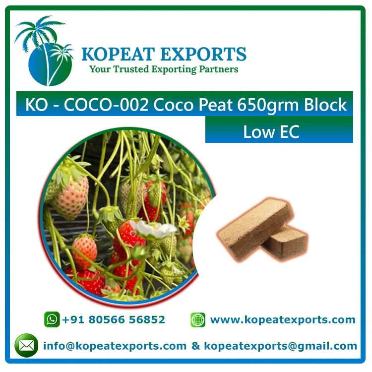 Direct Export Hot Selling Premium Coco Coir Pith Peat Block Powder for Garden Usage