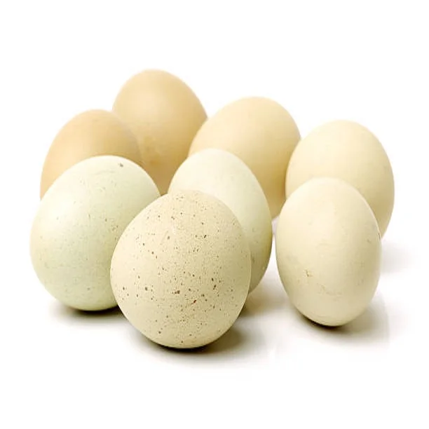 Hot Sale Farm Fresh Chicken Table Eggs & Fertilized Hatching Eggs,Brown