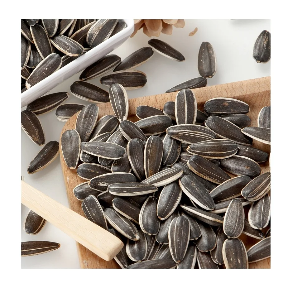 High Quality Sunflower Seeds Market Price With Export Sunflower Seeds