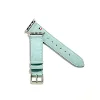 Light Aquamarine Blue