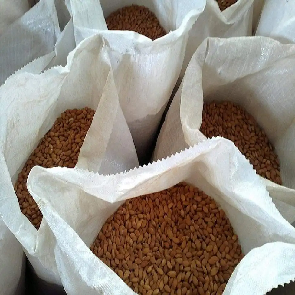 High Quality Organic California Grade Almond Nuts Freshly Roasted for Healthy Snacking on Sale