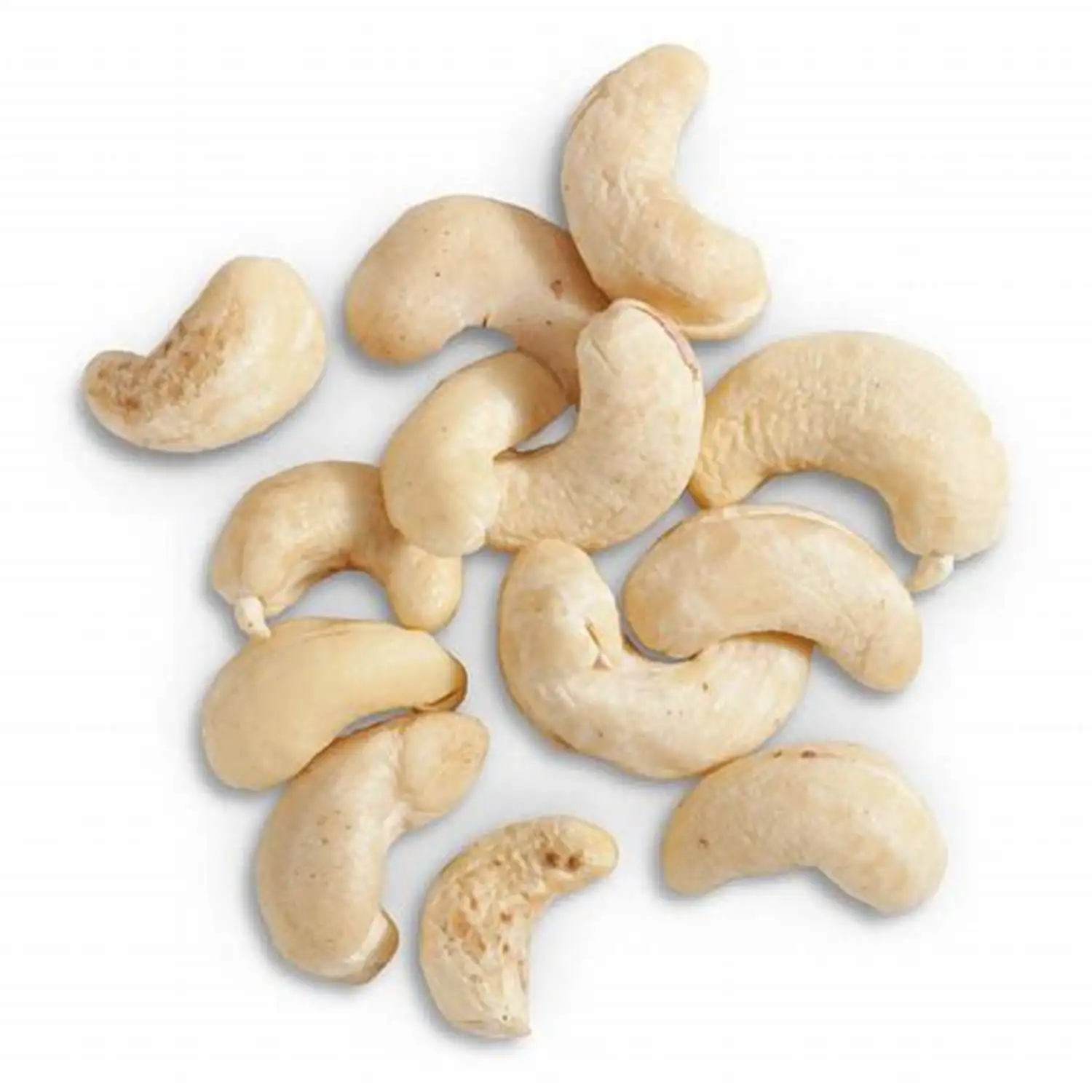 Wholesale Fresh Cashew Nuts w320 w240/ Organic Cashew Nuts / Roasted Cashew Nuts W320 W240 W450 Jumbo Size