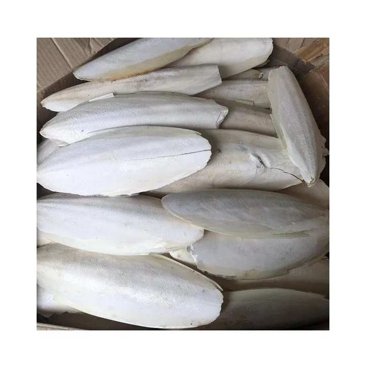 Top Quality Dried Cuttlefish Bone From Vietnam,100 Sun Dried