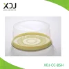 Transparent(Lid) Yellow (Base)