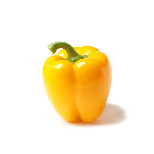 bell9.png