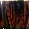 Color with White Stripes