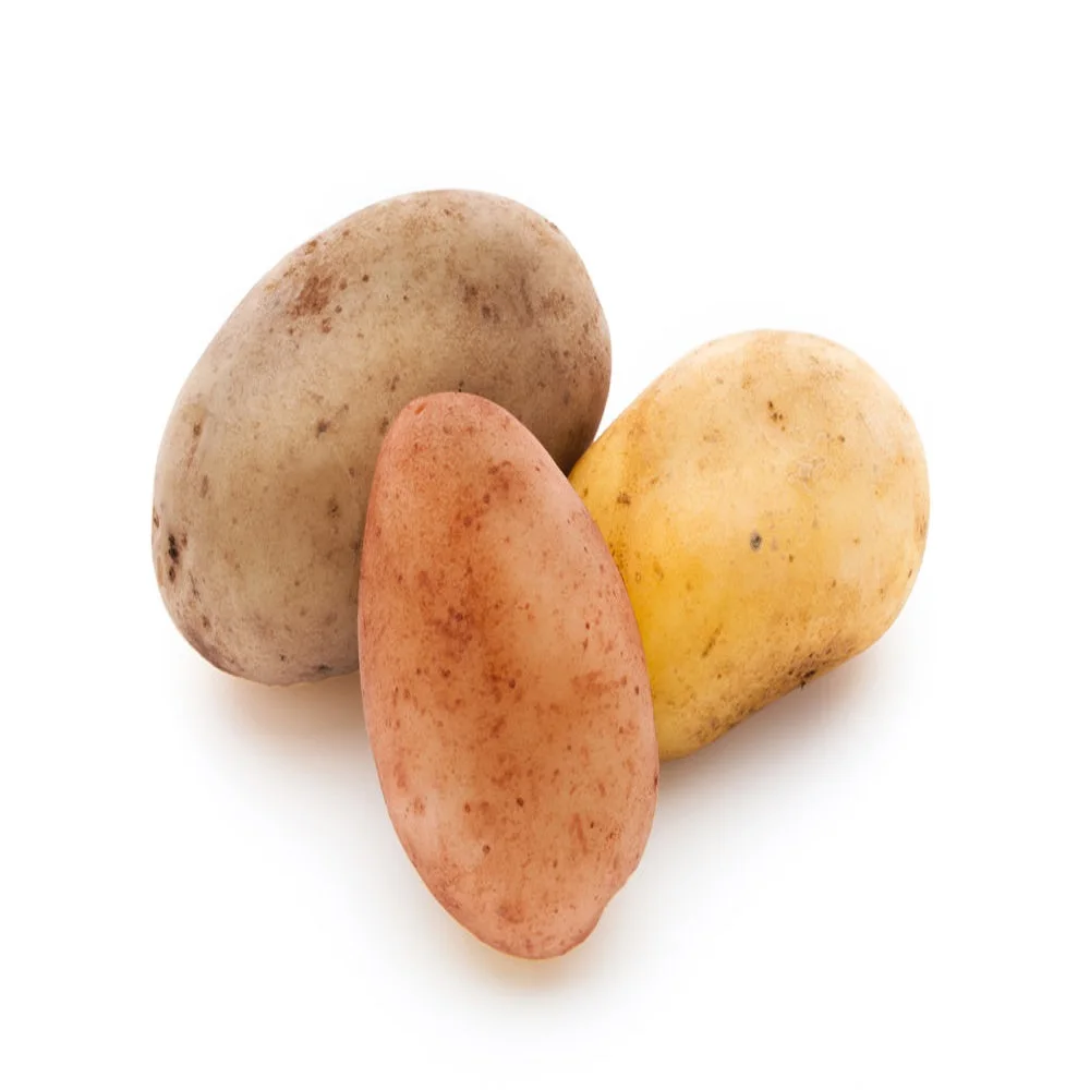 Style Time Fresh Potatoes Sweet Potatoes Export