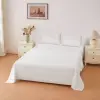 BLANCO 92460