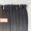 WEFT01