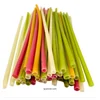 Natural White/Orange/Green/Black/Red/Blue/Yellow
