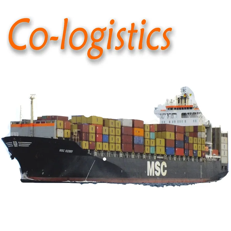 Sea Container 40ft Sea Shipping to France by MSC From China Shanghai Ningbo Xiamen Shenzhen Sea Freight Forwarder
