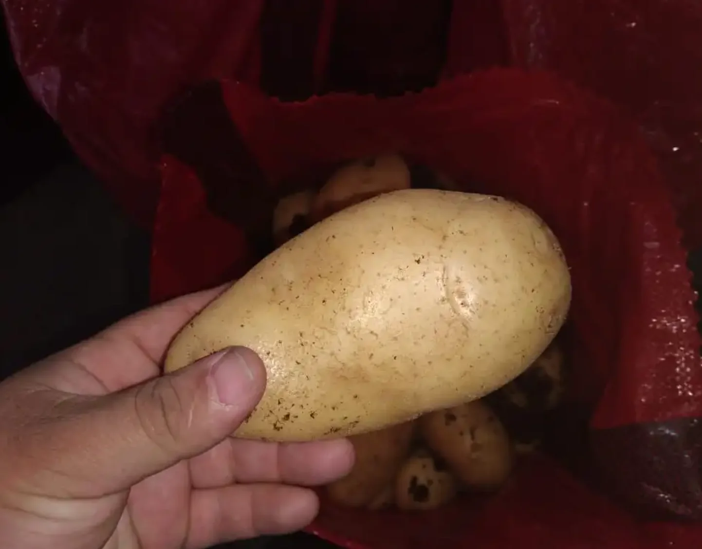 Свежий картофель высокого качества овощей для вашей кухни