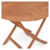 Teak Chemical