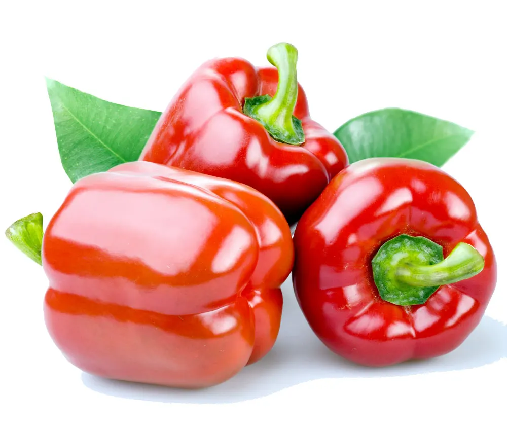 High Grade Organic Fresh Bell Peppers Export Price Vegetables Wholesale High Quality Fresh Organic Vegetables From Top Suppliers