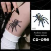 CD-056-Tarántula azul amarilla