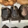 Wig09