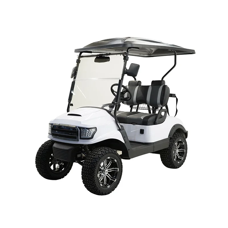 Custom 4 6 8 10 Seater Lithium Batteries Folding Golf Carts Electric