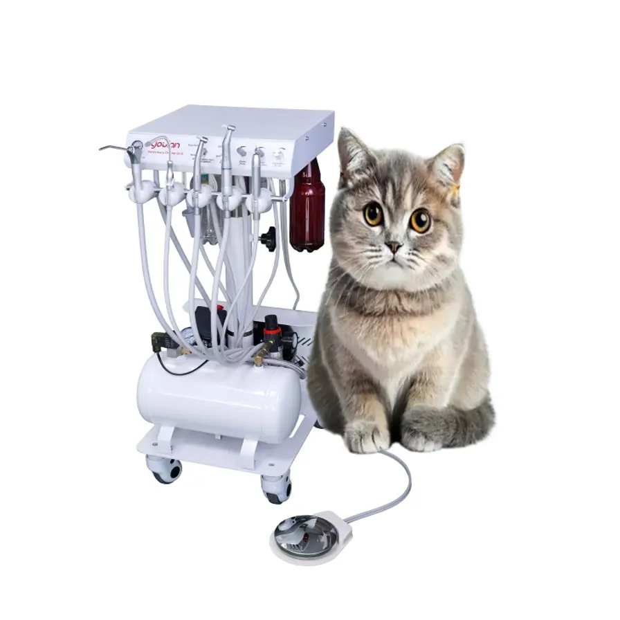 Veterinary Dental Treatment Workstation Cat Dog Tooth Polishing Light