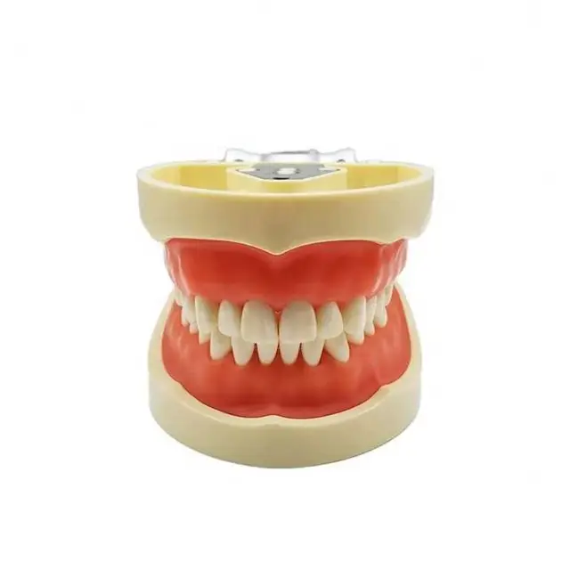 Dental Supplies Composite Acrylic Denture Synthetic Resin False Teeth