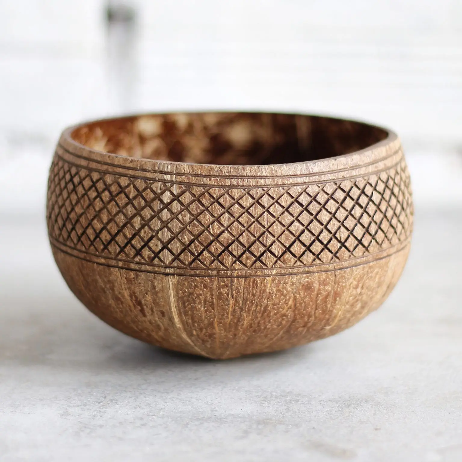 Sustainable dinnerware eco friendly biodegradable coconut shell bowl ...