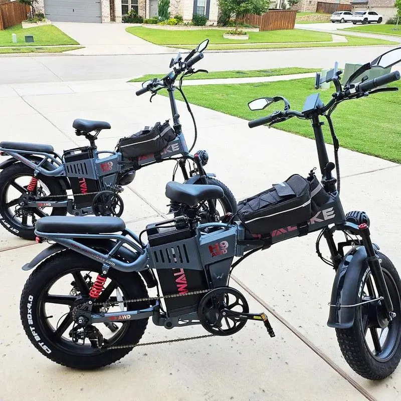 E-Bike Wallke H9 20 Zoll Elektrofahrrad für Erwachsene mit 48V 40Ah 60Ah Akku