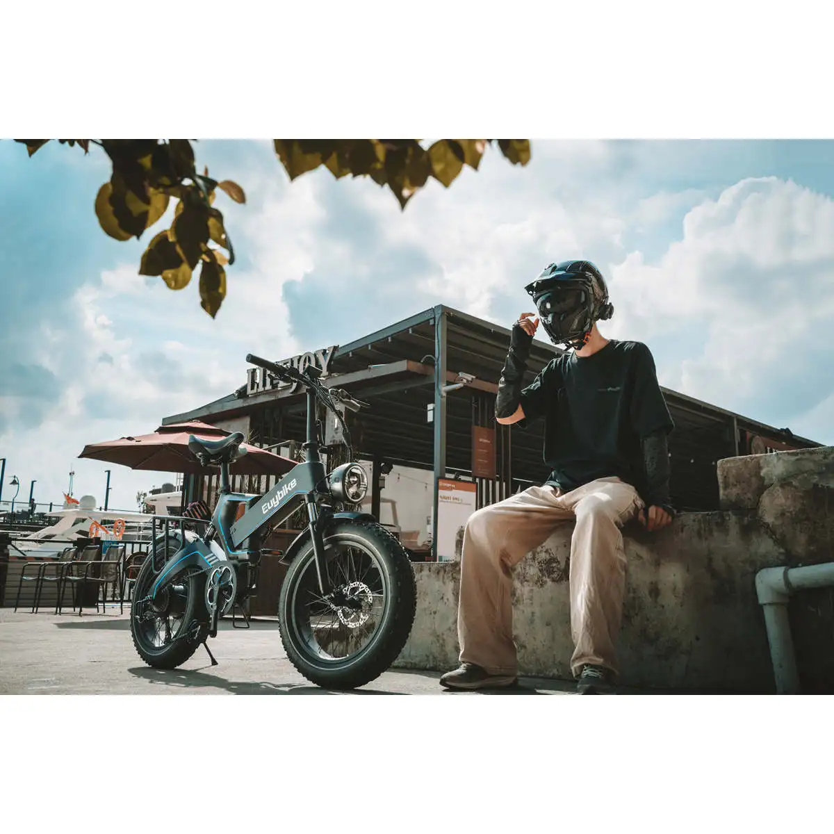 K6T Plus Electric Bike with Fat Tire Premium Electric Bicycle