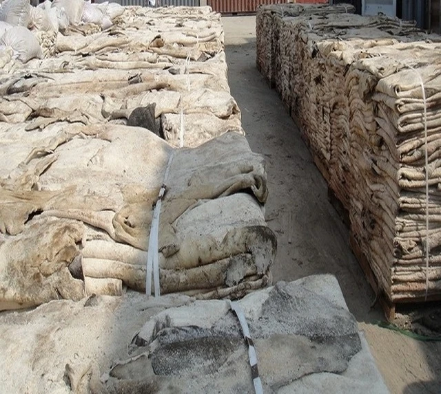 Wholesale High Quality Wet Salted Cow Hide For Sale/best Grade Wet Cow