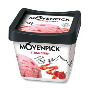 For for Chocolate Ice Cream 500ml Bulk Pack France No Additives