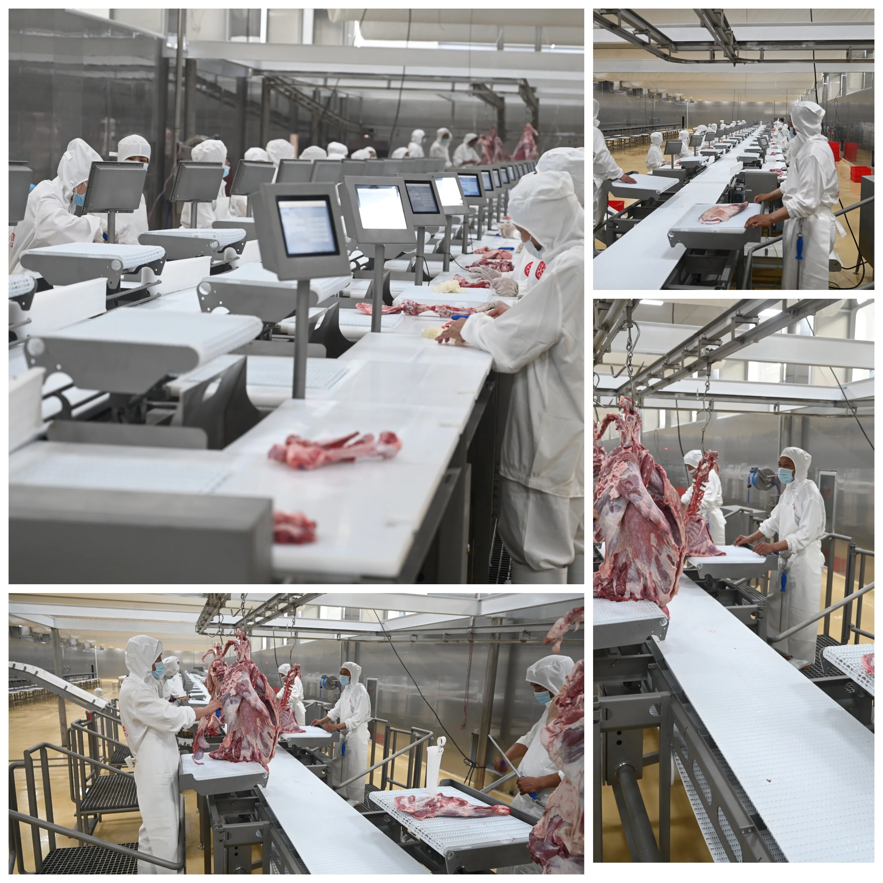 Automatic high performance shrink packaging machine for meat and food processing plants