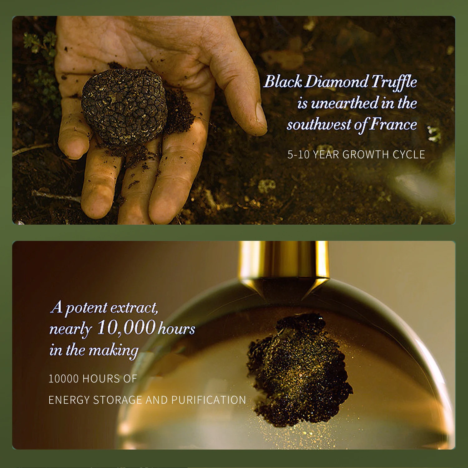 White Truffle Facial Peeling - Truffoire Gourmet Skincare