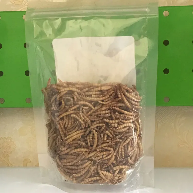 Wholesale Dried Mealworm Dried Tenebrio molitor