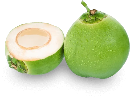 Свежий зеленый молодой кокосовый кокос высшего качества Лучшая цена кокос для оптовых продаж сделано в Бен Тре, Вьетнам