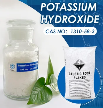 Wholesale Customized Good Quality Sodium Bicarbonate / Baking Soda Food Grade