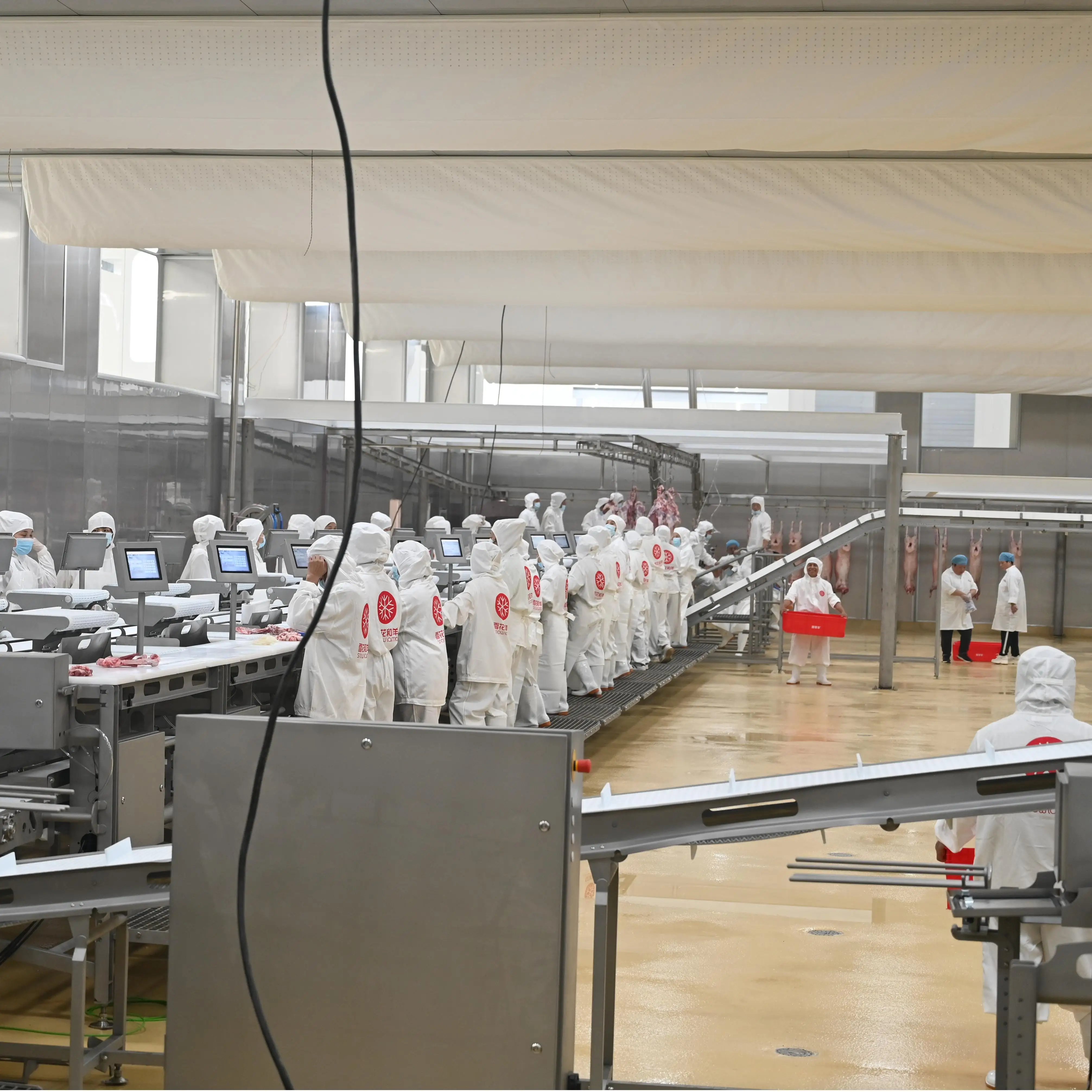 Efficient complete goat slaughtering machine for advanced lamb slaughtering equipment