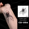 CD-054-Araña Negra con Marcas Rojas en la Telaraña