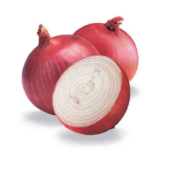 Fresh Onion Red Onion / Gold Onion High Quality Best Price Buy