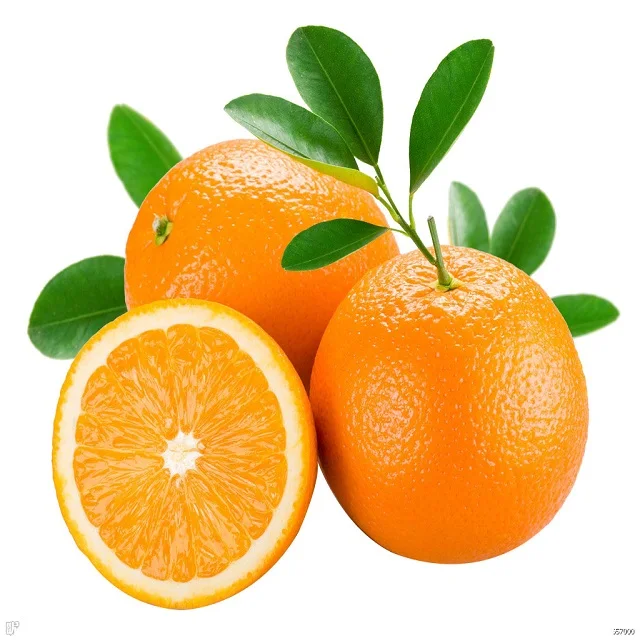 Fresh Navel Orange,Fresh Orange,Fruit Wholesale Suppliers Sweet Navel