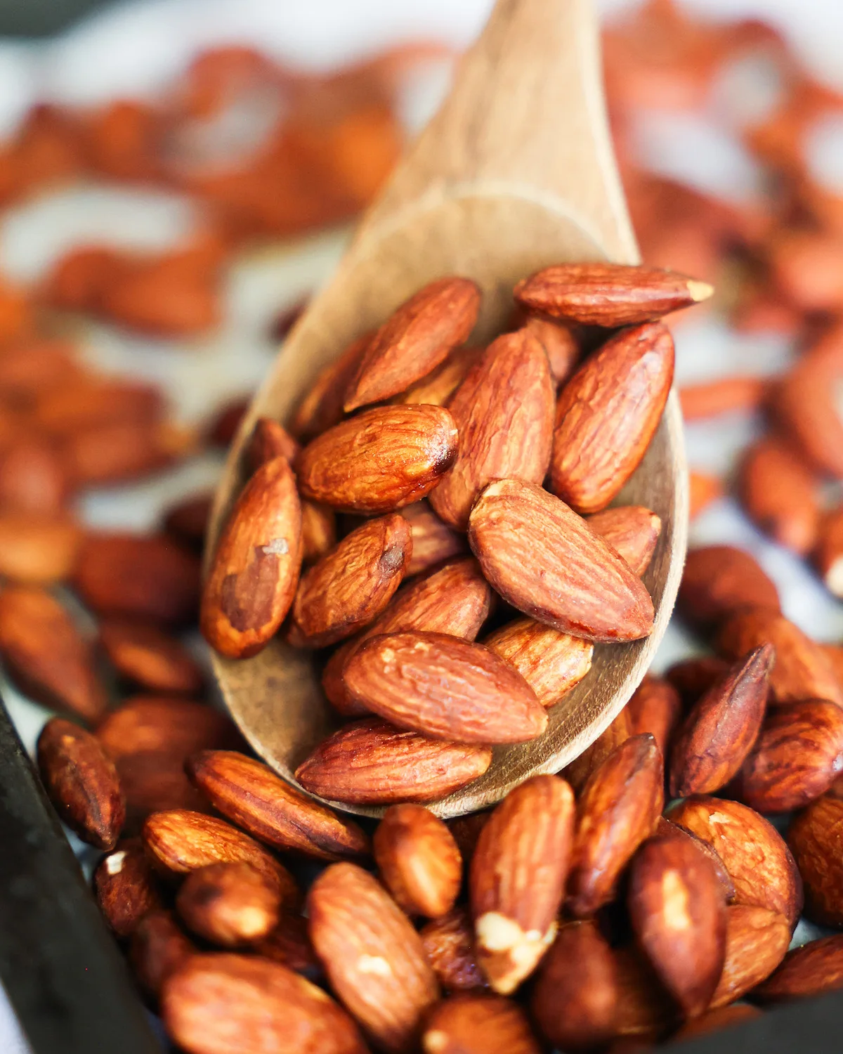 Bulk Wholesale Almond Nuts 100% Premium Grade New Crop Raw & Roasted Salted Almonds High Quality Healthy Snack Dry Fruits