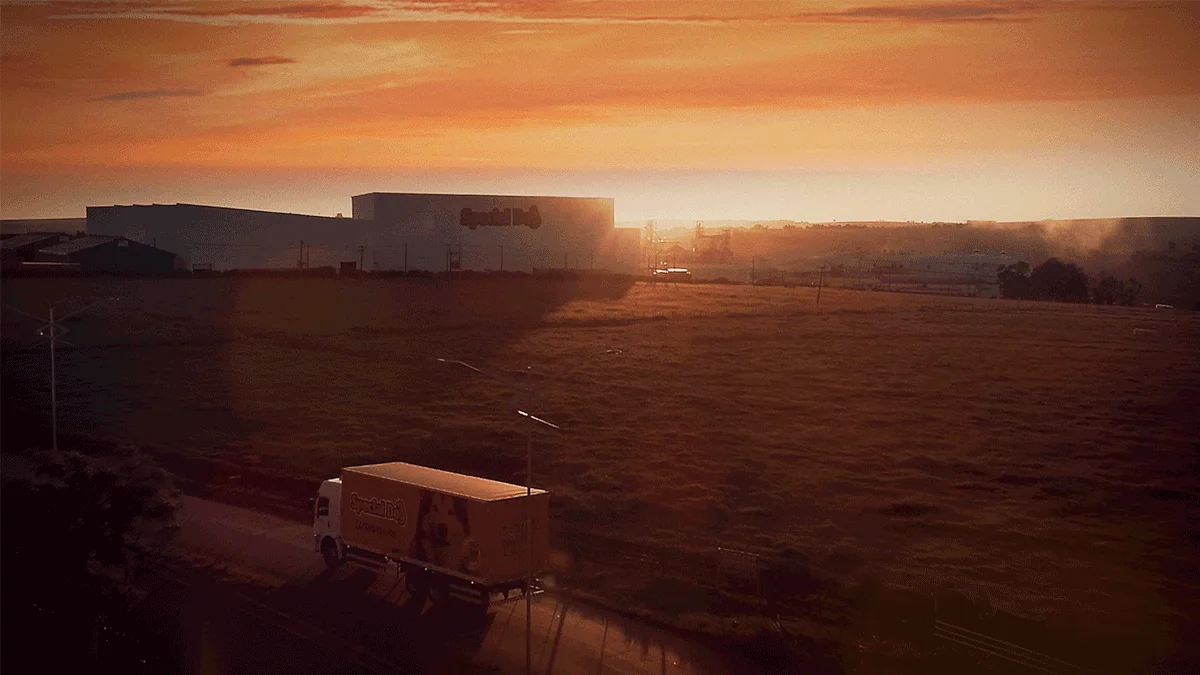 Sachet Wet Food Puppy Special Dog Protein Blend Mix For Beef Flavour 100g Color Brown Single