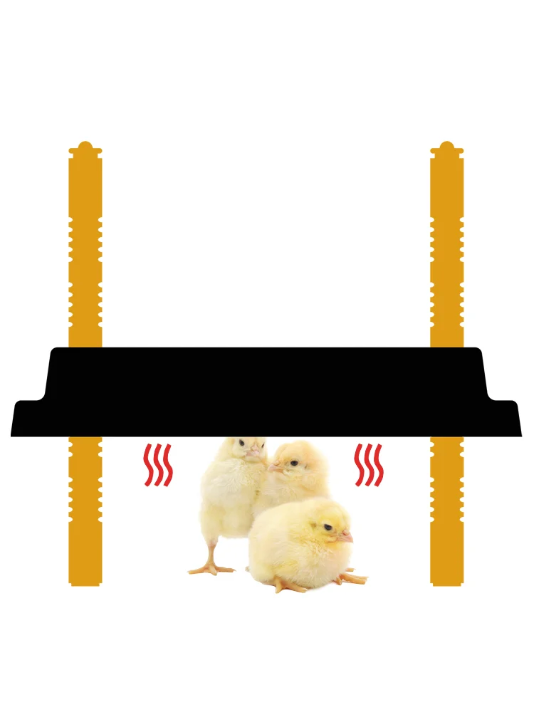 Chauffage Thermostatique Pour Poulailler – 200 W – Température Réglable
