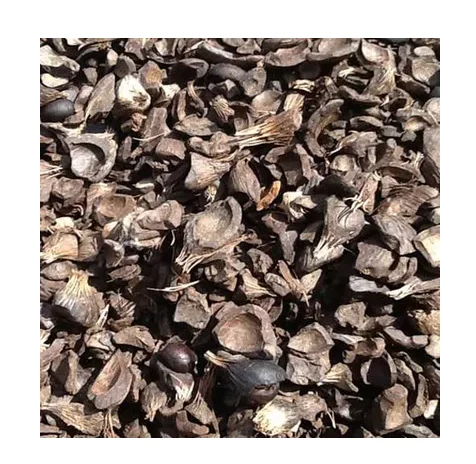 Good Quality Palm Kernel Shell