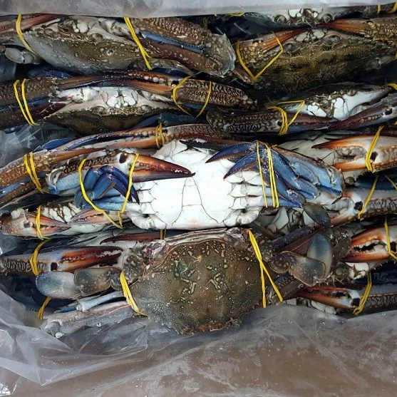 High Quality Factory Frozen Swimming Crab Blue Crab Buy Blue Swimming