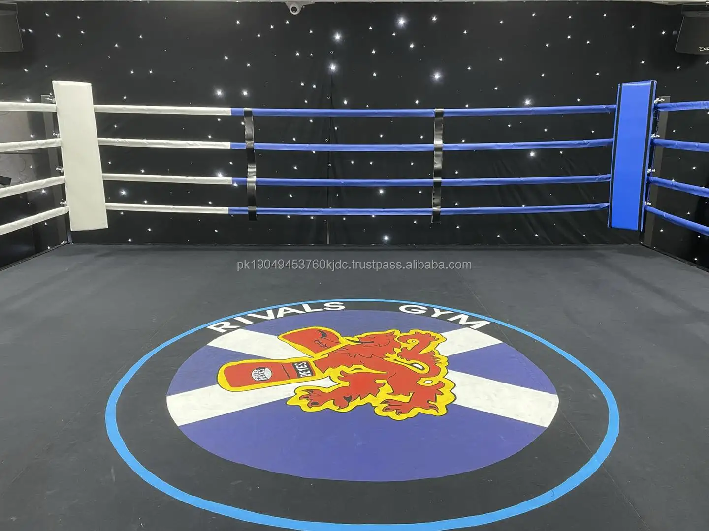 Boxing Ring Professional Boxing Ring Canvas Mat UFC TNA MMA Cage Canvas Mat Cover for Boxing and Wrestling