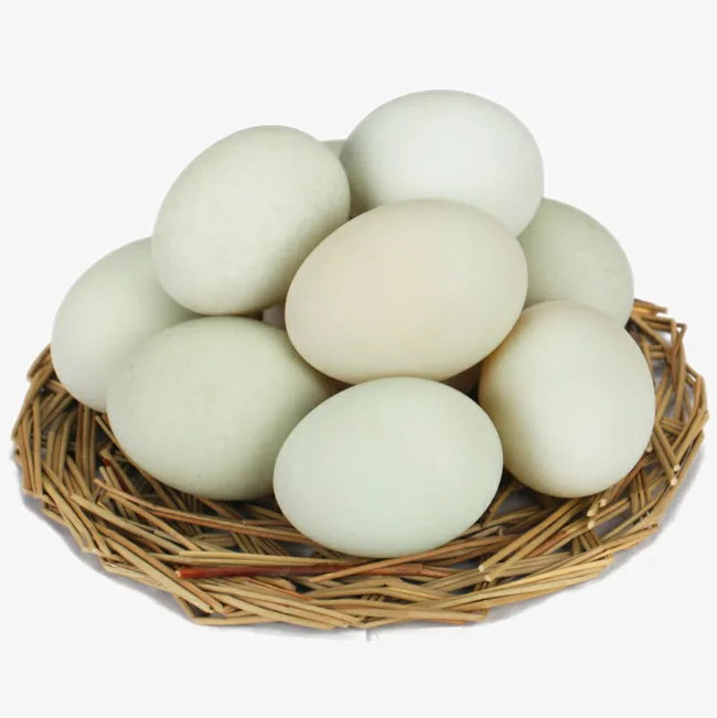 Fresh White Table Eggs For Sale - Buy Eggs Agriculture Animal  Products,Chicken Eggs Egg Products,Chicken Eggs Table Egg Cartons For  Chicken Eggs Product on 